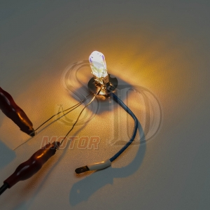 飛利浦 philips H3 鹵素燈泡 12V 55W 黃金光 3000K 汽車大燈(單入)